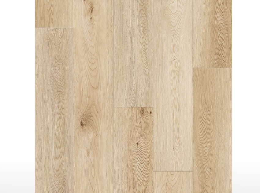 SPC | Barley Oak